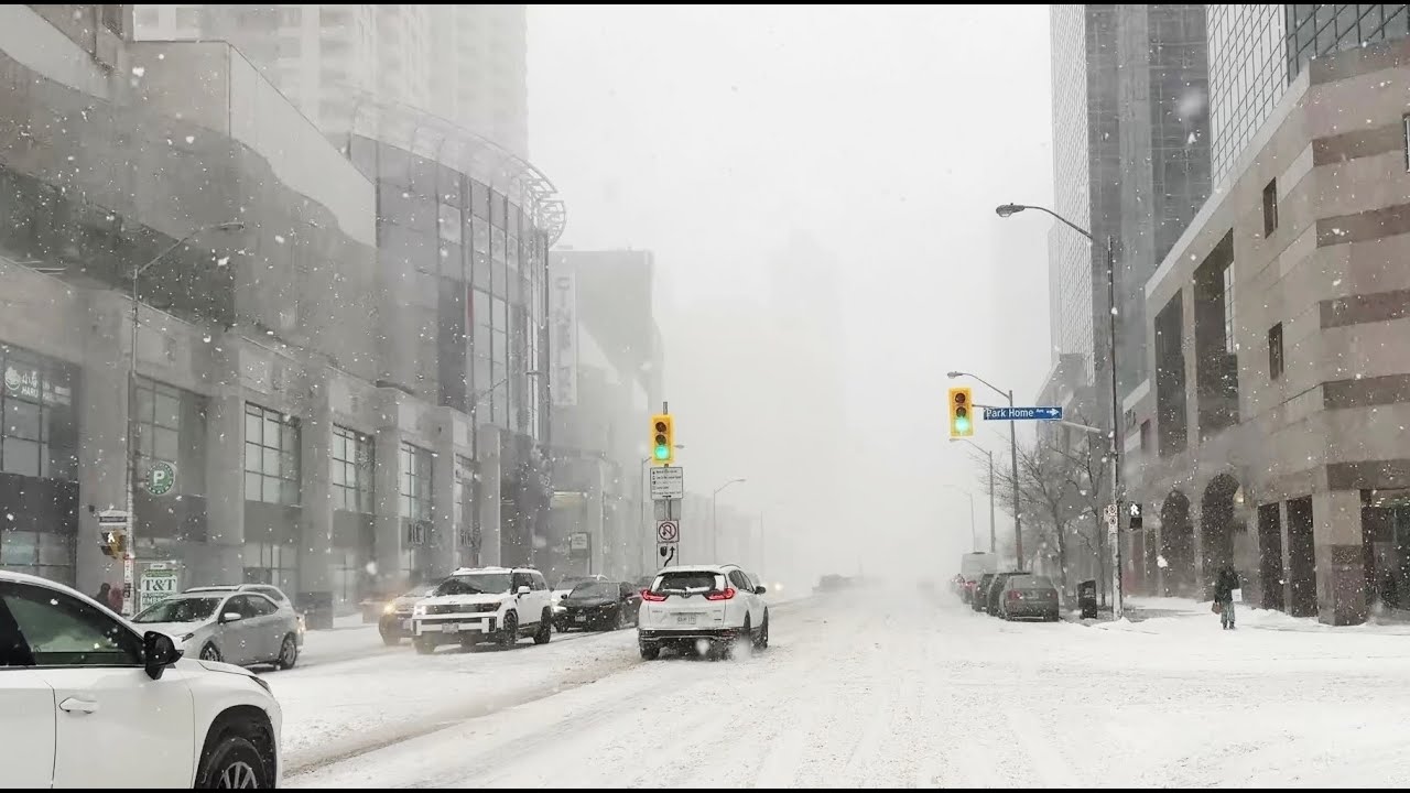 🔴Toronto Live - Heavy Snowfall in Toronto and GTA- January 15 2026