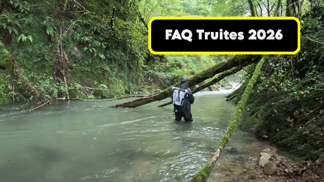 FAQ Ouverture Truite 2026 Questions Pêche Béarn Pyrénées Pyrénées-Atlantiques 64
