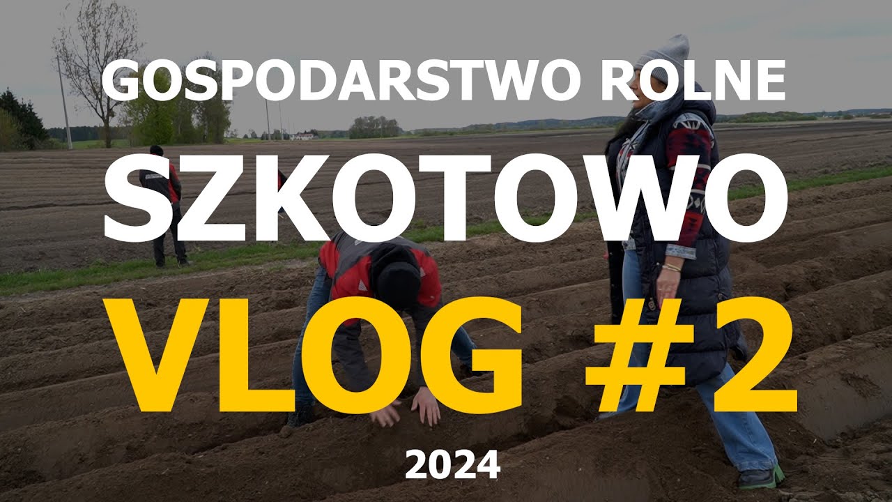 Pod okiem ekspertów🚜// VLOG#2 GR🥔Szkotowo