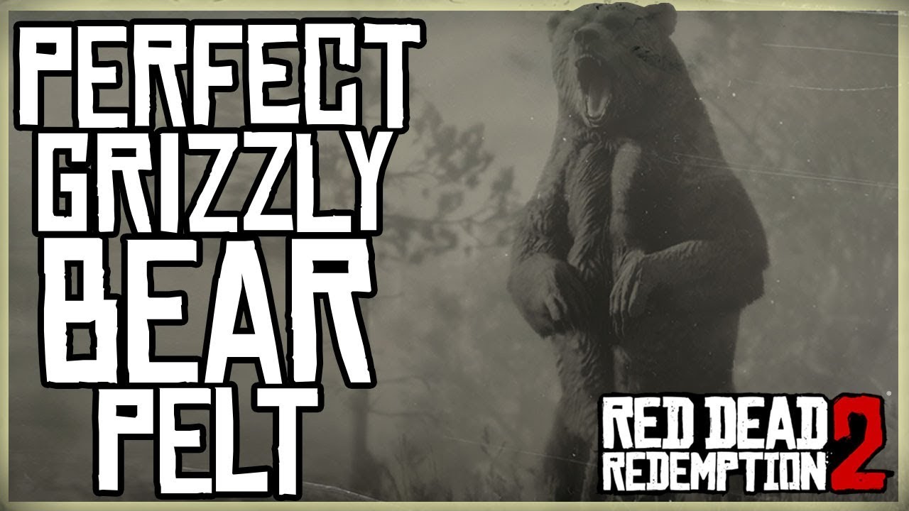 КАК ПОЛУЧИТЬ ИДЕАЛЬНУЮ ШКУРУ МЕДВЕДЯ ГРИЗЛИ - RED DEAD REDEMPTION 2 ОХОТА НА МЕДВЕДЯ ГРИЗЛИ
