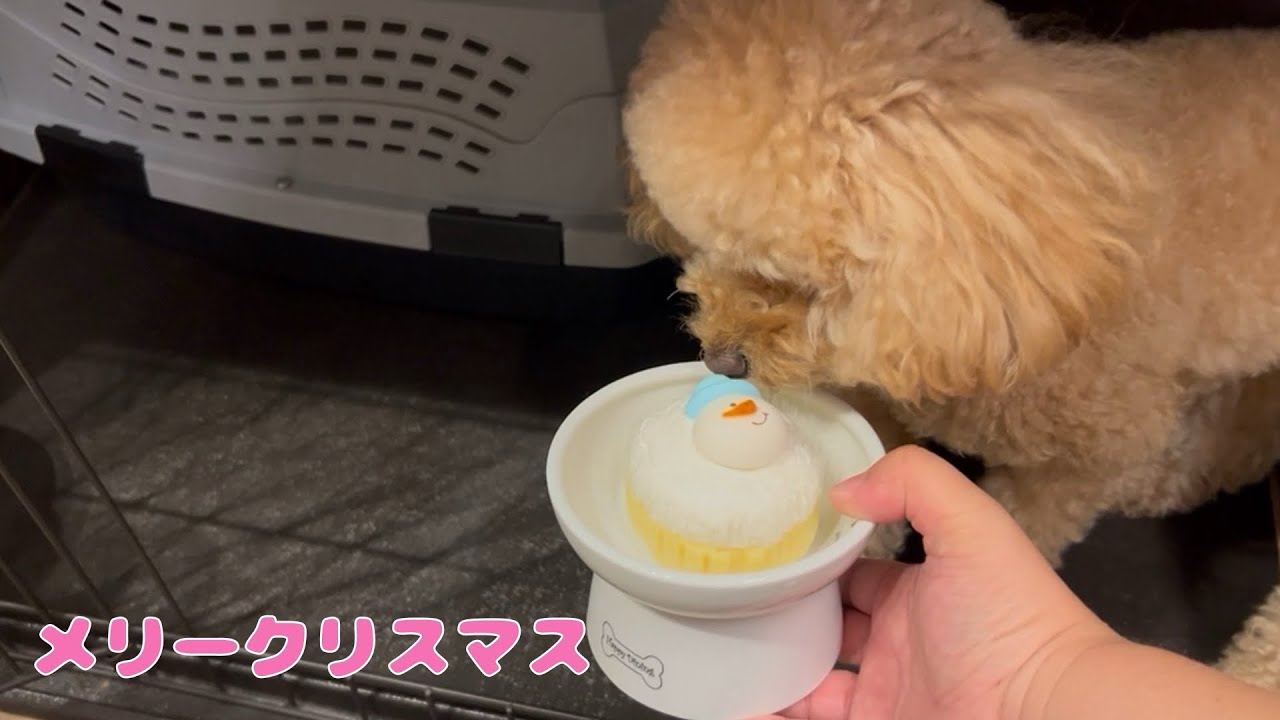 メリークリスマス