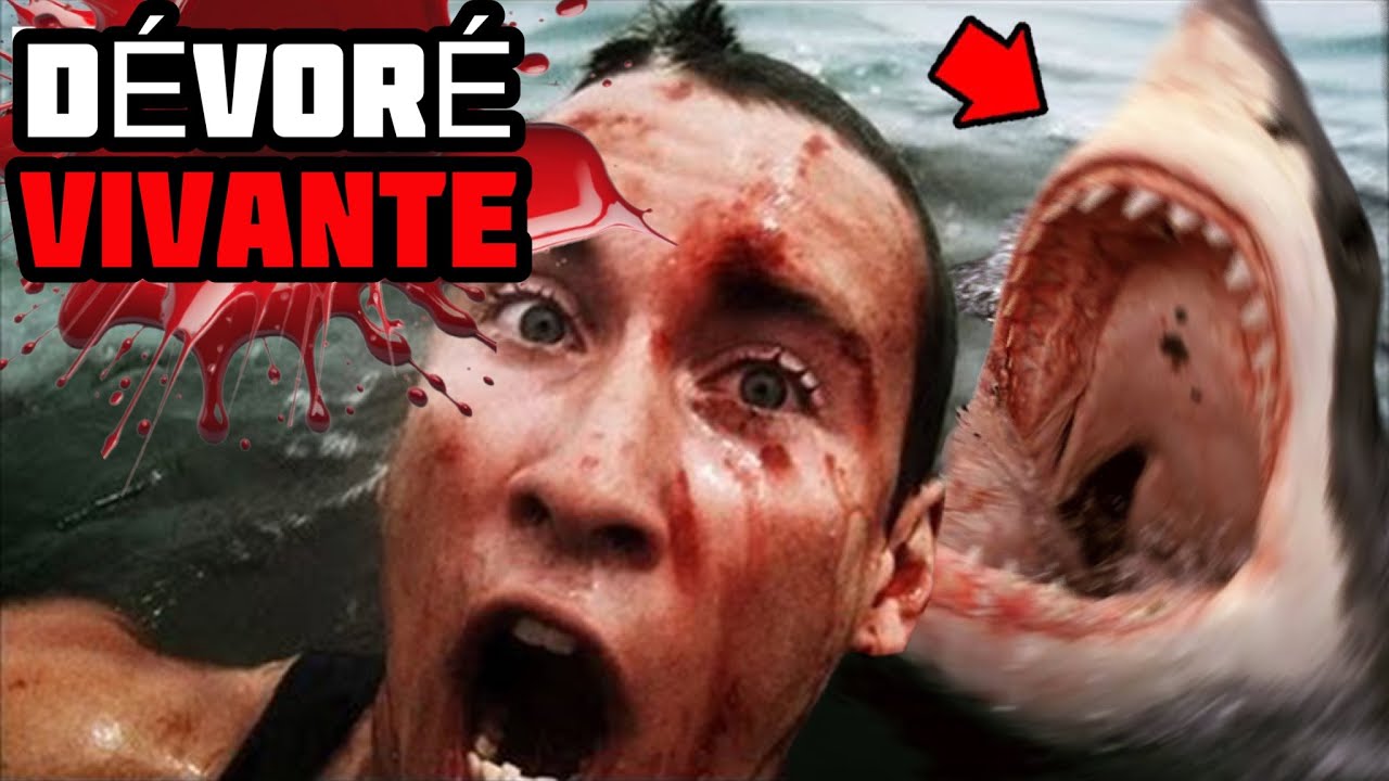 Les Images Choc De Henri Bource, D&eacute;vor&eacute; Vivant Par Un Requin !
