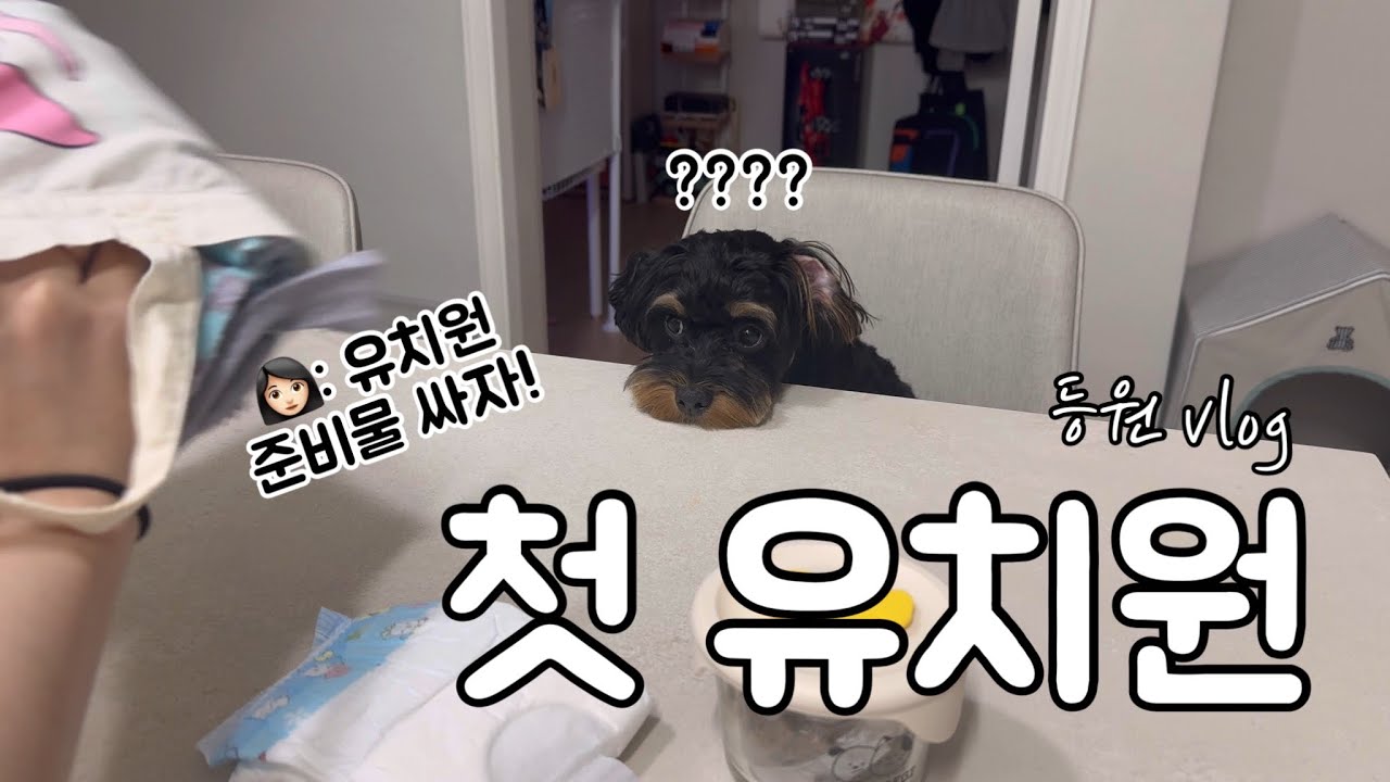 준비물 챙겨서 유치원가는 강아지🎒첫 등원 브이로그