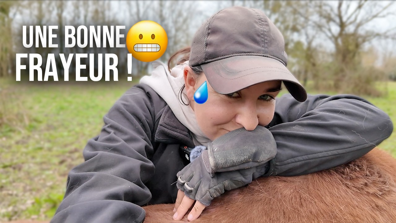[JOUR 3] - UNE BONNE FRAYEUR POUR MON ANNIVERSAIRE 😅