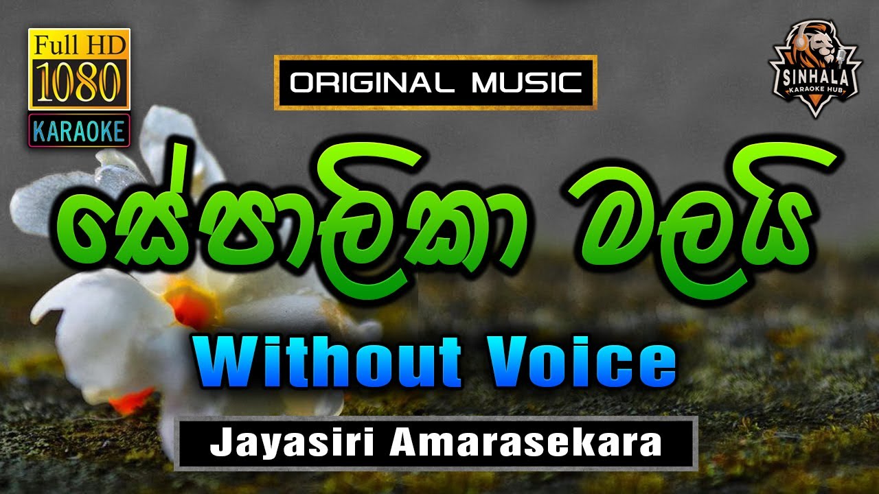 Sepalika Malai ❤️ සේපාලිකා මලයි | Karaoke Without Voice | Jayasiri Amarasekara