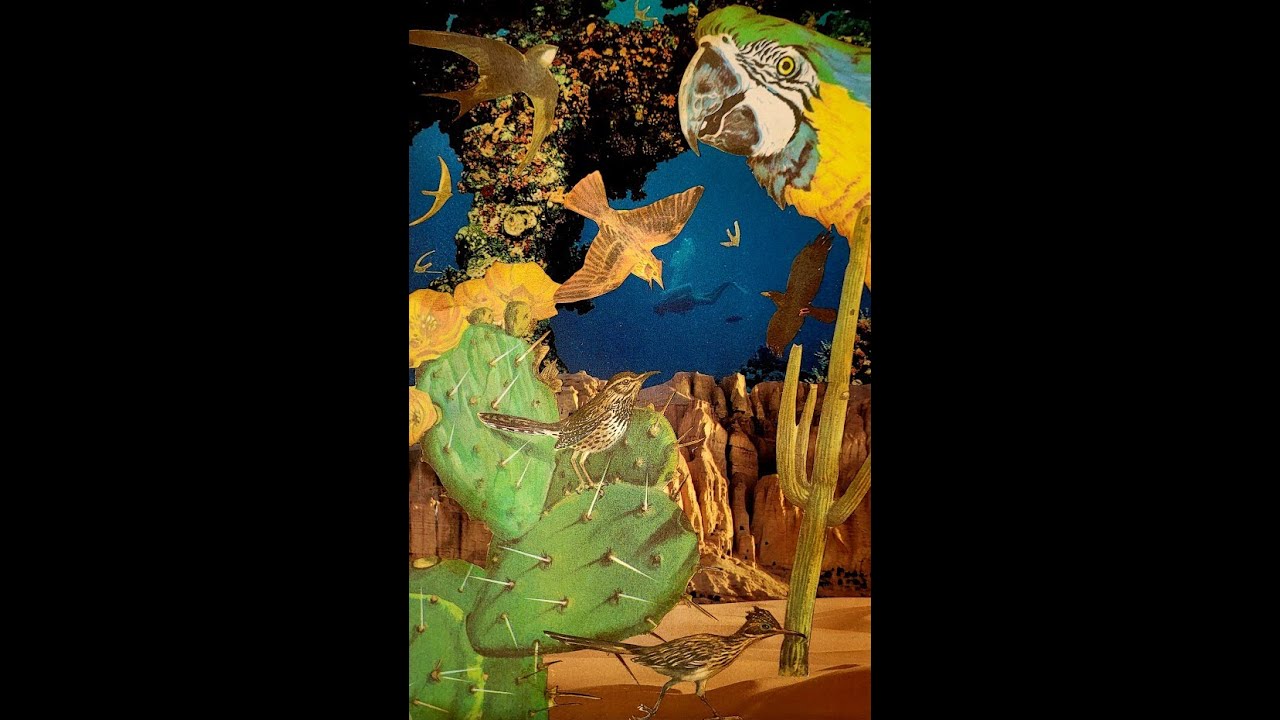 #nrbirdcollage Nellie & Ruth For the Birds Challenge Desert In The Ocean? | #surrealcollage