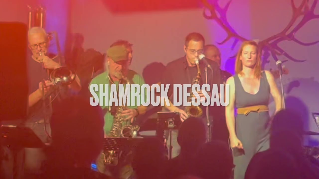 17.1.26 - Nils Parkinson Live im Shamrock Dessau