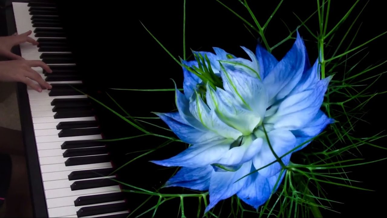 Giovanni Allevi - Back to Life | Piano