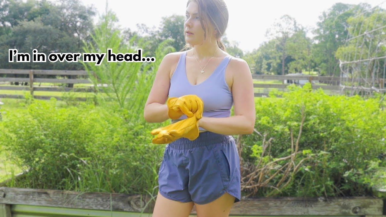 *GARDEN VLOG* bringing my garden BACK to life l Pulling overgrown weeds #gardening #homesteadgarden
