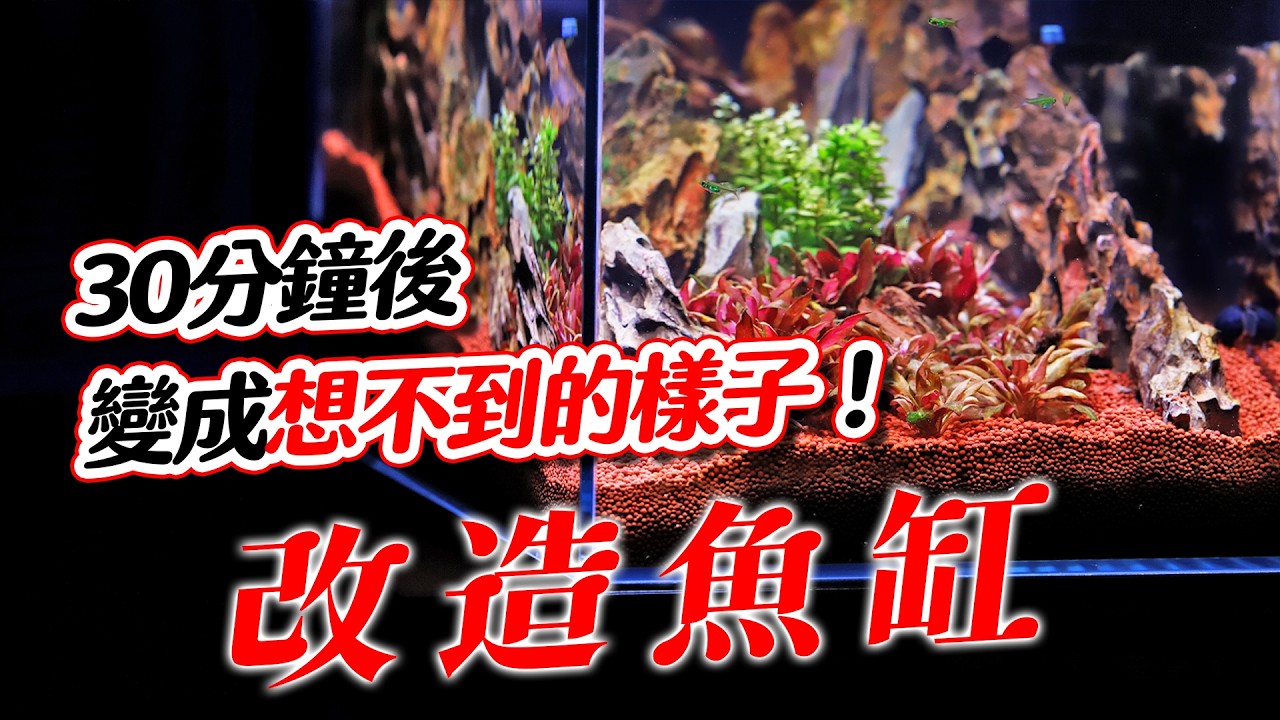 普通魚缸→變成異想天開設計 只差這一步 feat. 冰凍郎 @bingdonglangJD 七龍珠 DRAGON BALL ドラゴンボール