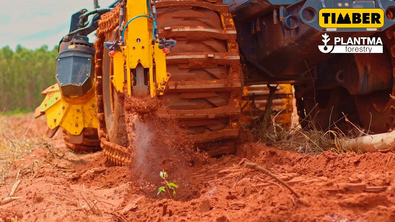 Plantadeira PlantMax X2 no plantio de eucalipto