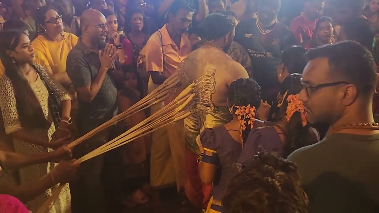 Thaipusam 2025 at Batu Caves: Intense Hooks Ritual & Stunning Ratham Kavadi | Part 2