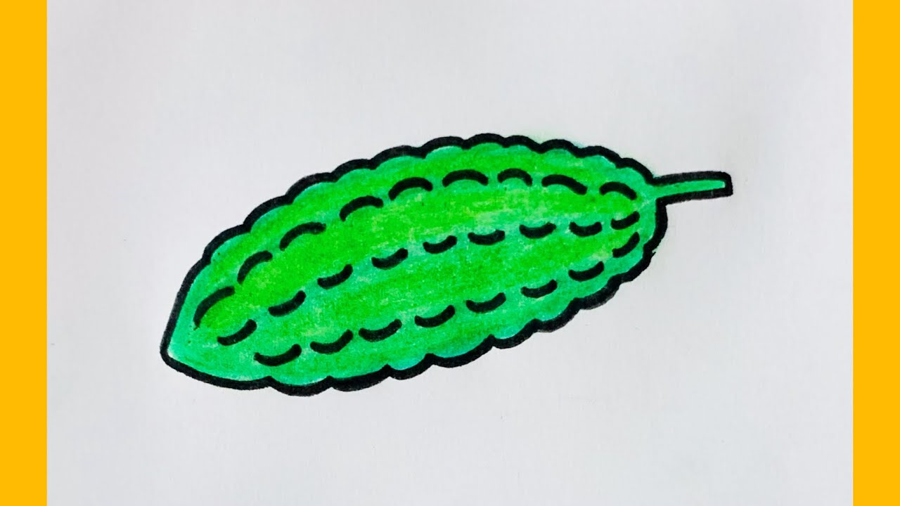 How to draw bitter gourd |Bitter gourd drawing step by step #art #drawing