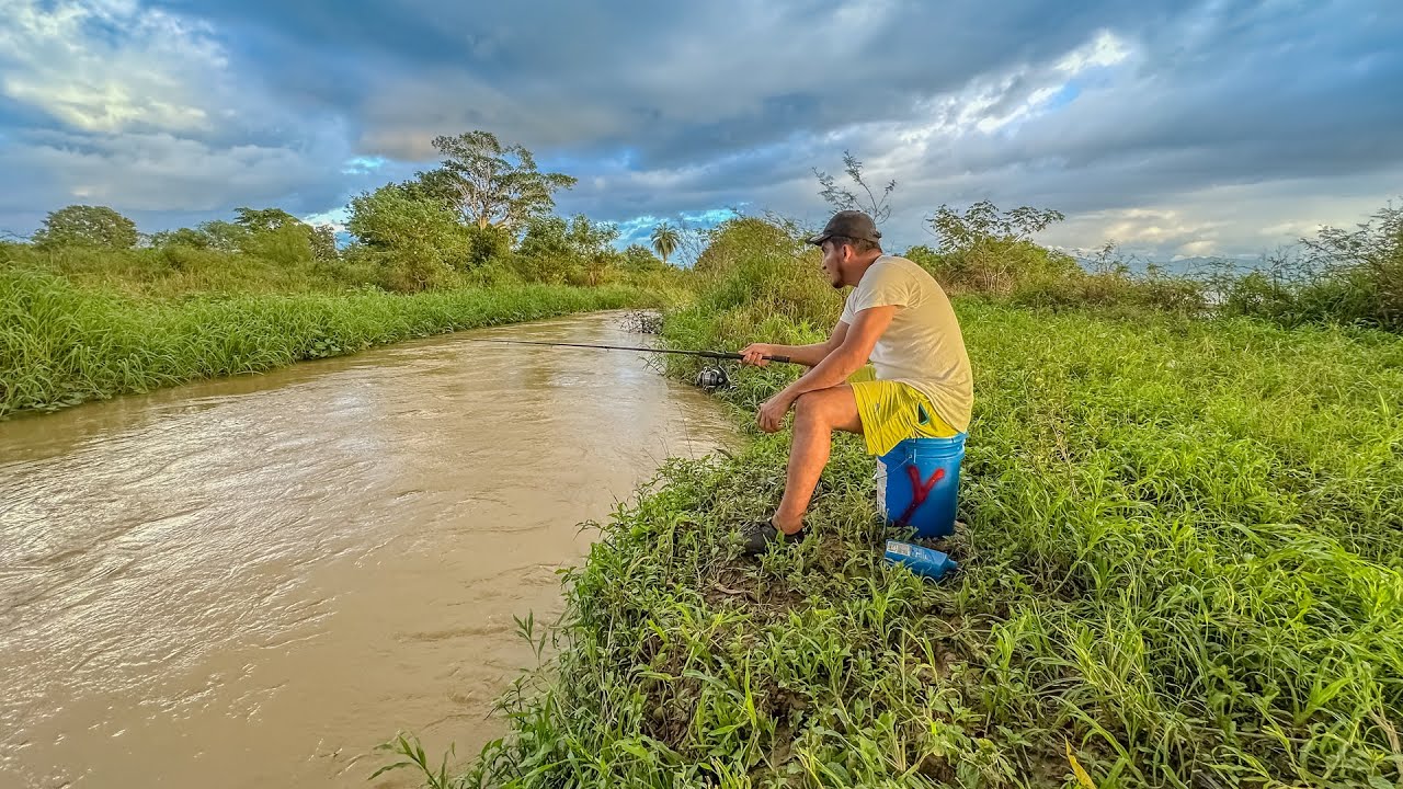 Tarde de pesca por arroyos sucios mucha naturaleza y cocina con bello atardecer