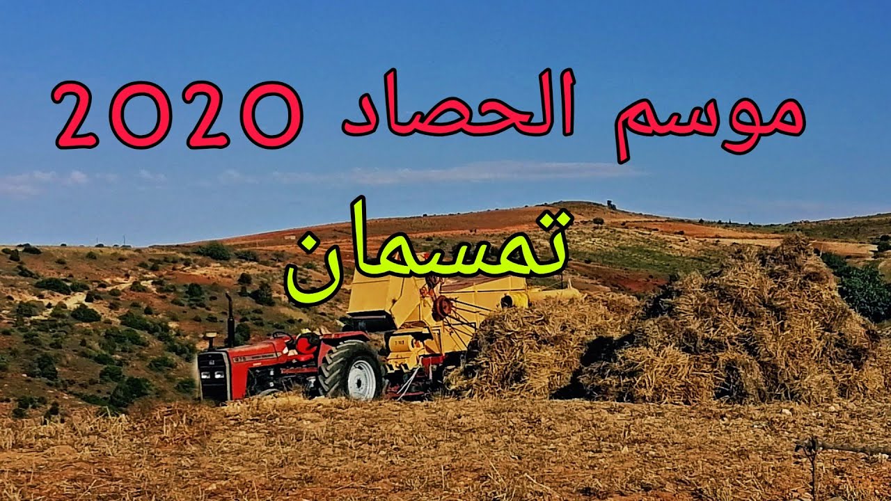 أجواء موسم الحصاد 2020 تمسمان الريف tamsamane rif