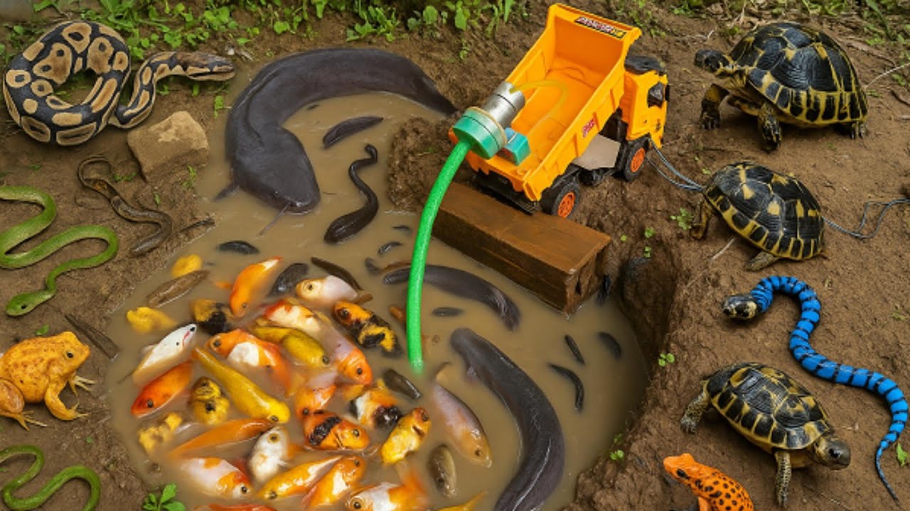 Insane TinyTruck Fishing Adventure! Jungle, Mud & Fish You Won’t Believe!