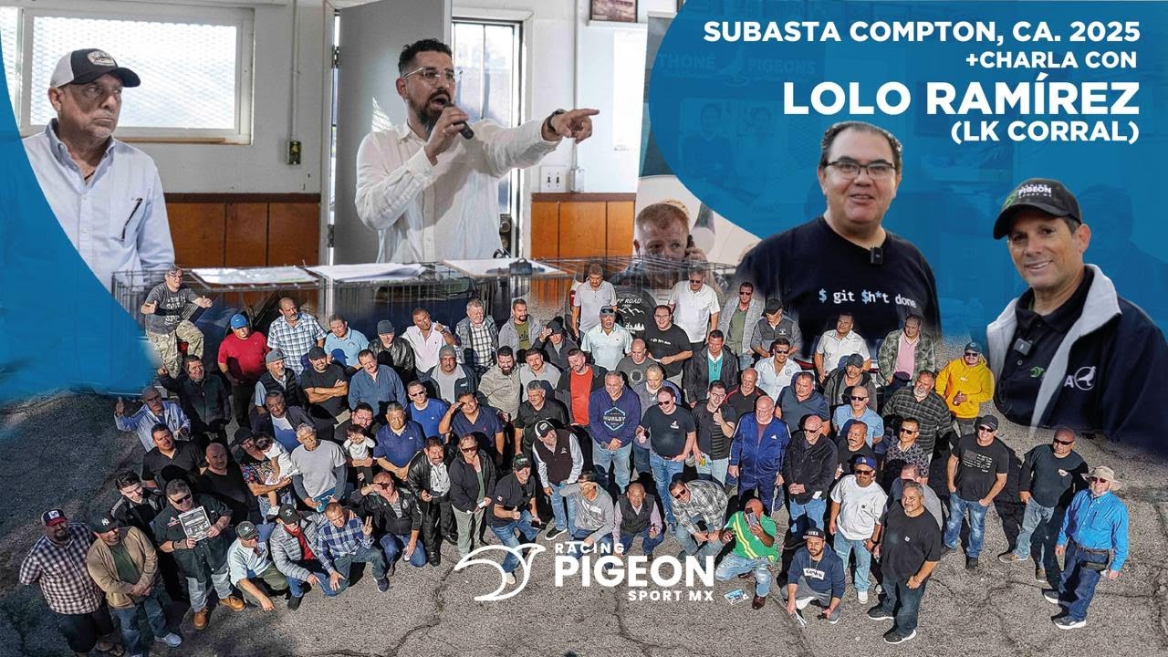 VIDEO#17 SUBASTA COMPTON, CA. 2025 + CHARLA CON LOLO RAMÍREZ (LK CORRAL).