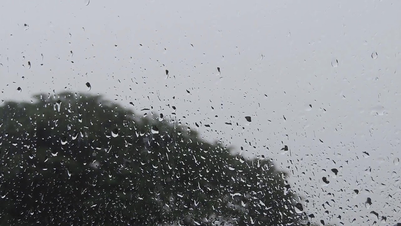 I will Rest in Your Arms