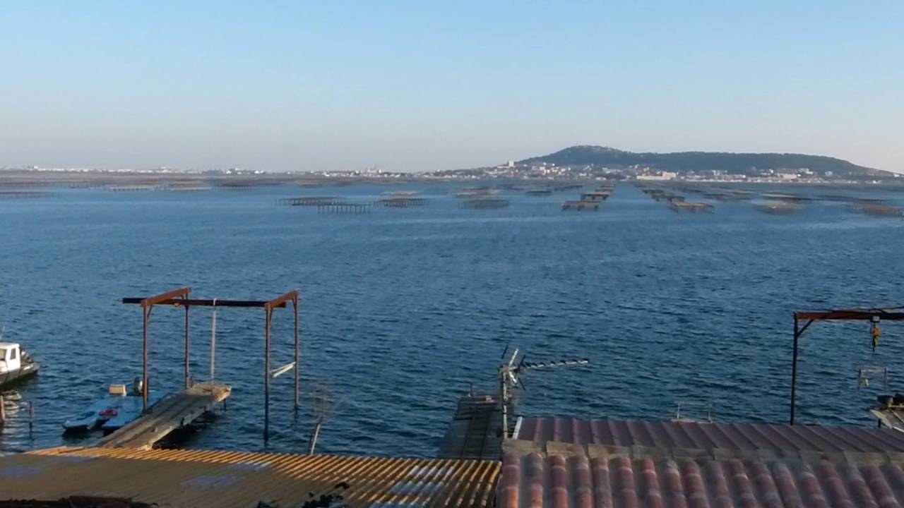 Notre belle lagune de Thau