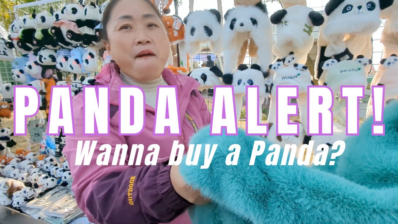 Panda research Center Chengdu. Come see the pandas with us!