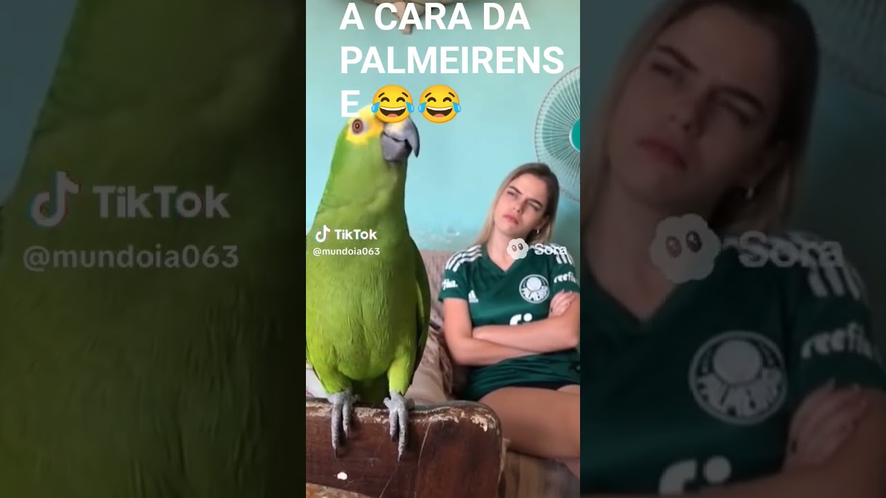 PROVOCOU A PALMEIRENSE 😂😂,se inscreve comenta compartilha deixa seu like #humor