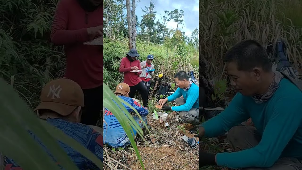 PEO SURVEY TEAM. Logging Road Crossing to Borongan, Basey, and Calbiga Samar.Day 4.