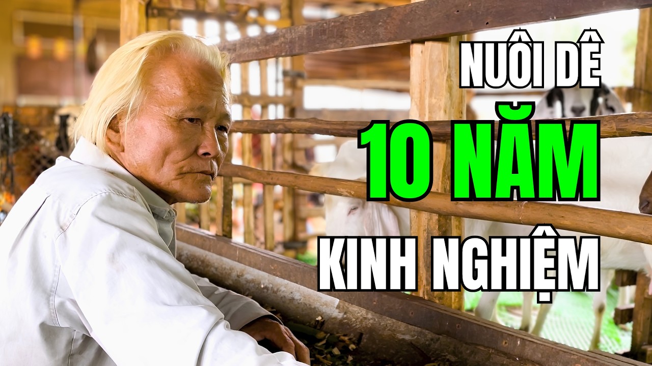 Tham Quan Mô Hình Nuôi Dê Sinh Sản Tại Nhà Bác Dùng