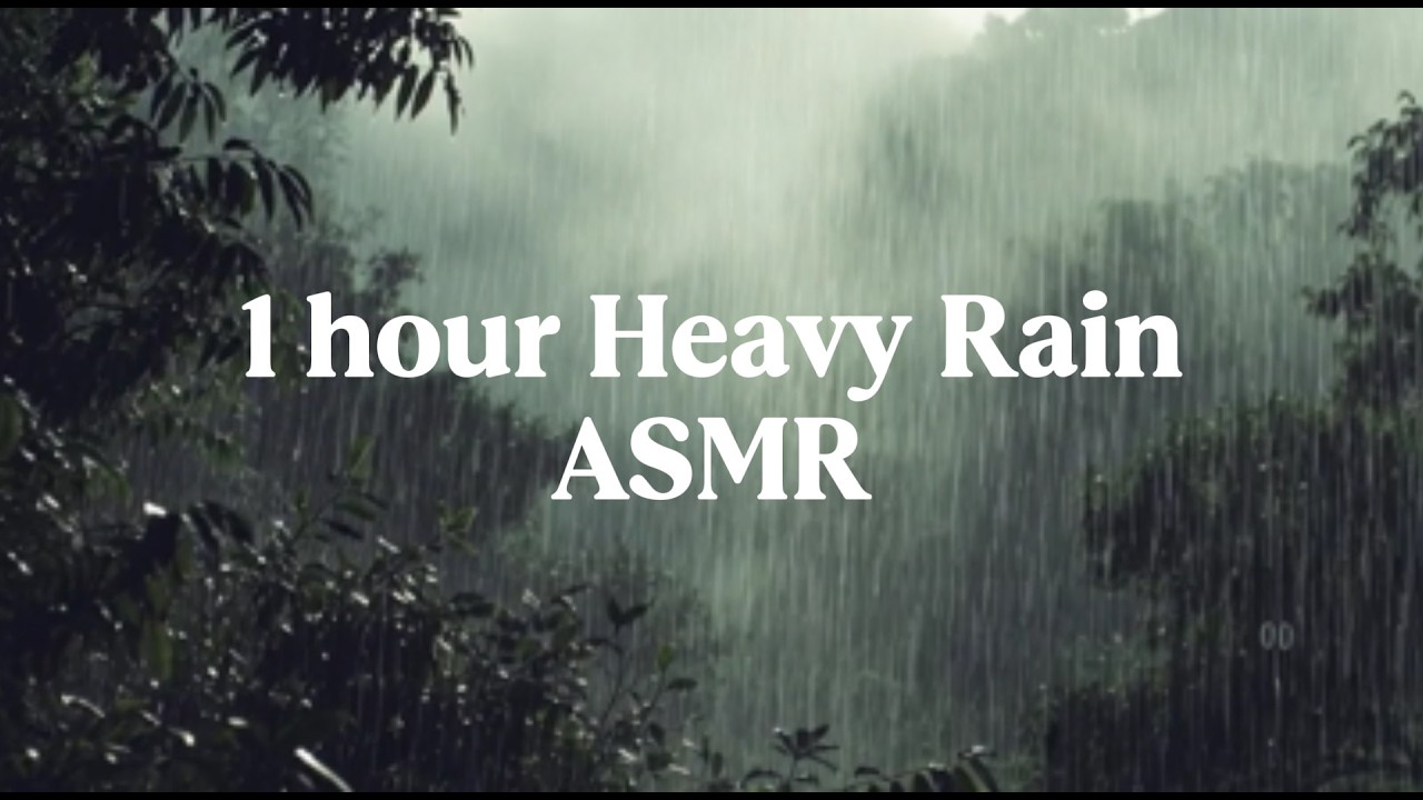 HEAVY RAIN SOUNDS ☔️ l ASMR