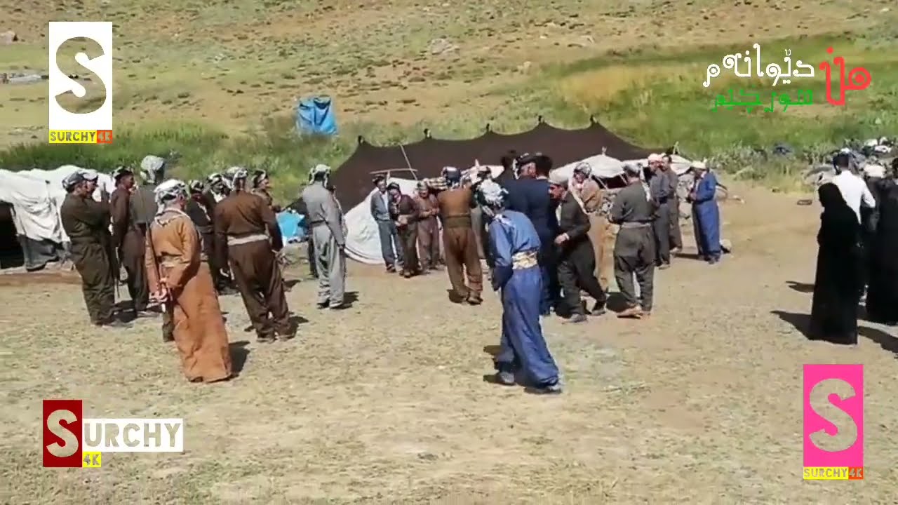 خۆشترین دێوانەتی لە ناو چیاکانی برادۆست 4k