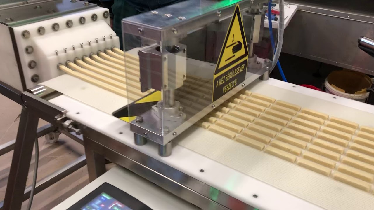 Foodglanz dough extruder with cutting line