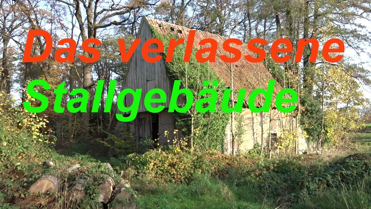 Verlassene Orte (Lost Places Urbex) Stallgebäude 12.11.2025