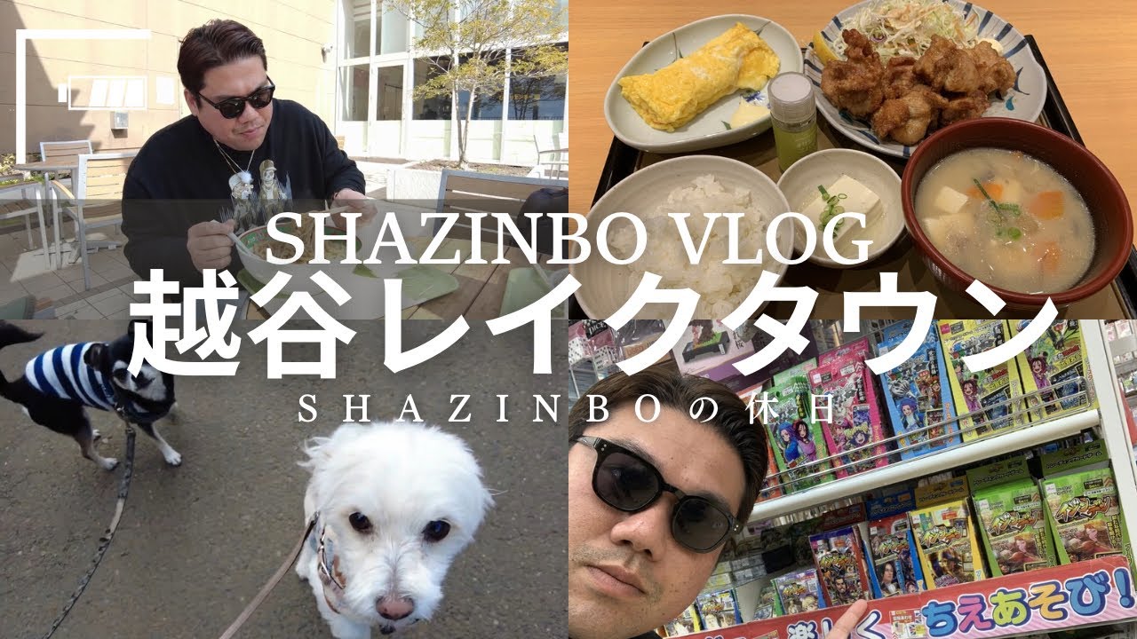 【Vlog】久しぶりの越谷レイクタウンへ テラス席でジャンクガレッジ パワフルまぜそば