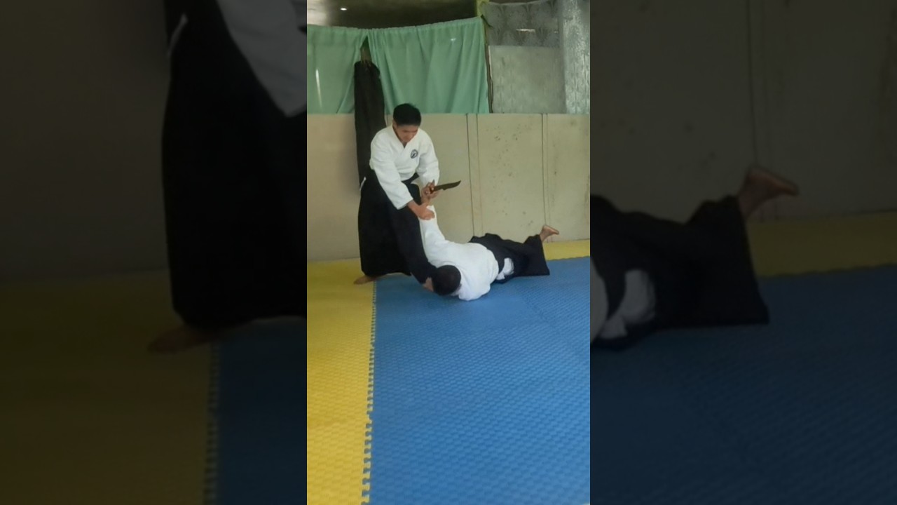 Beautiful Practical Aikido Technique to disarm a Knife (Shomenuchi Kotegaeshi) Tanto Dori #aikido