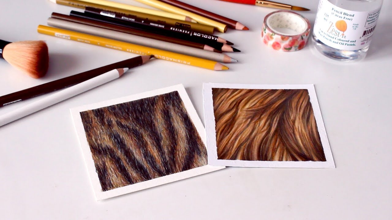 2 formas de pintar PELAJE con lápices de colores | Para principiantes
