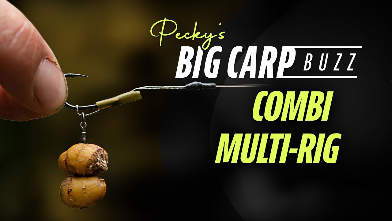 Darrell Pecks Big Carp Buzz - Combi Multi Rig (widziany na Wasing)