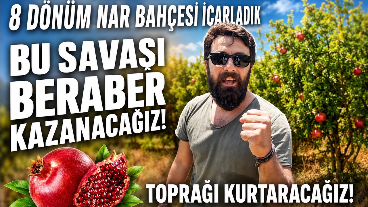 8 DÖNÜM NAR BAHÇESİ İCARLADIK - EKOLOJİK ÜRETİM ÇILGINLIĞI! BERABER KAZANACAĞIZ!