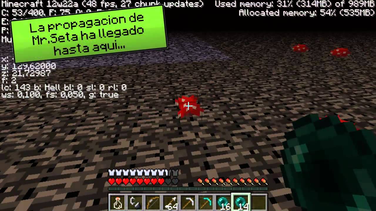 Tutorial Minecraft, c&oacute;mo no morir en el nether.