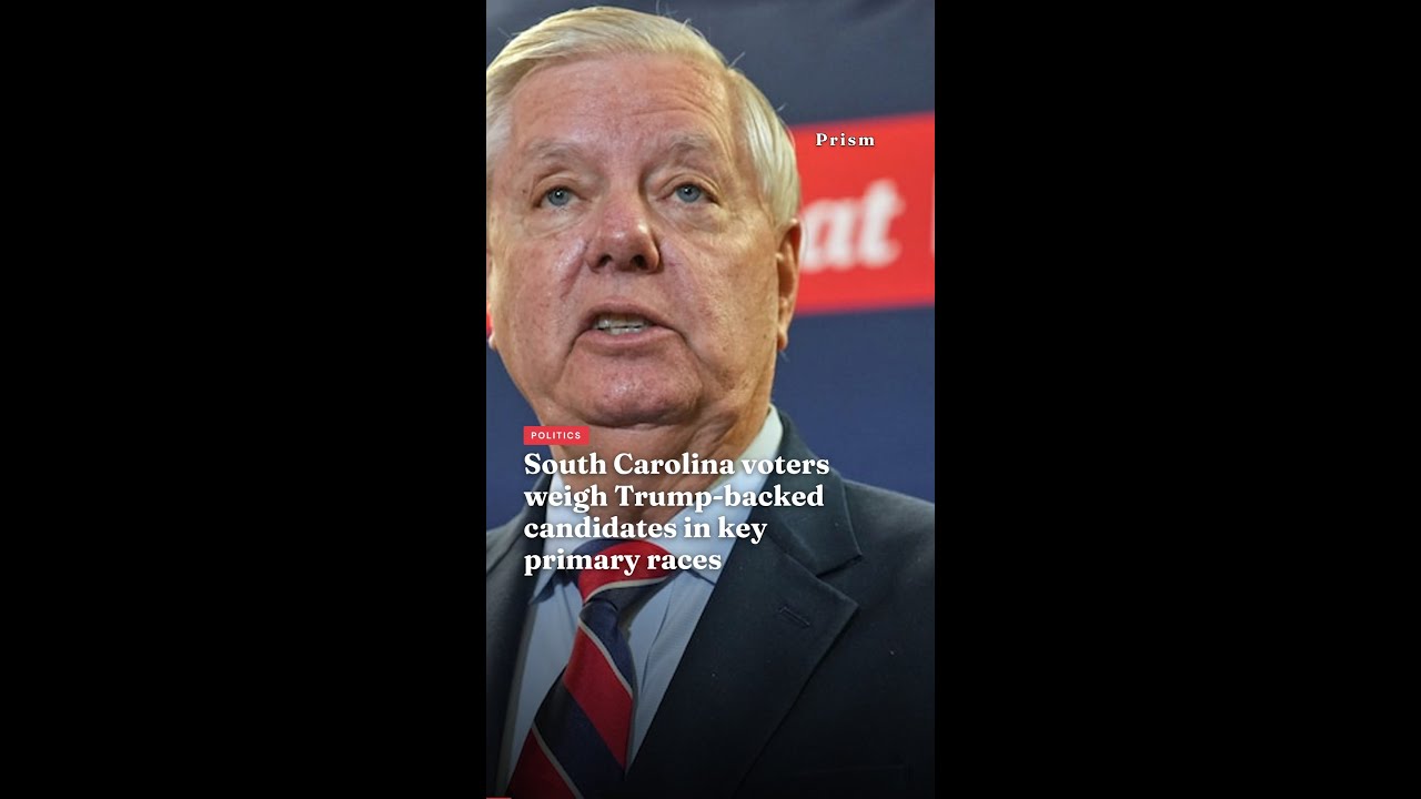 South Carolina voters weigh Trump-backed candidates in key primary races