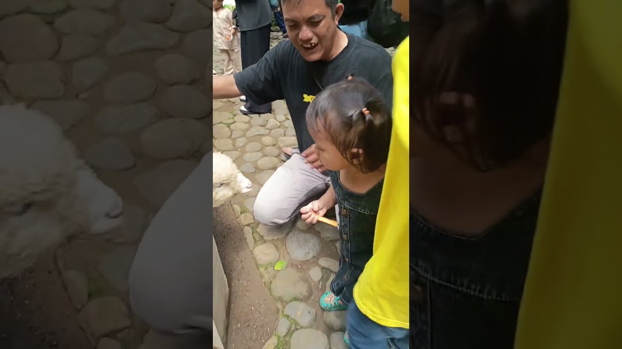 Jalan jalan sama papa 
