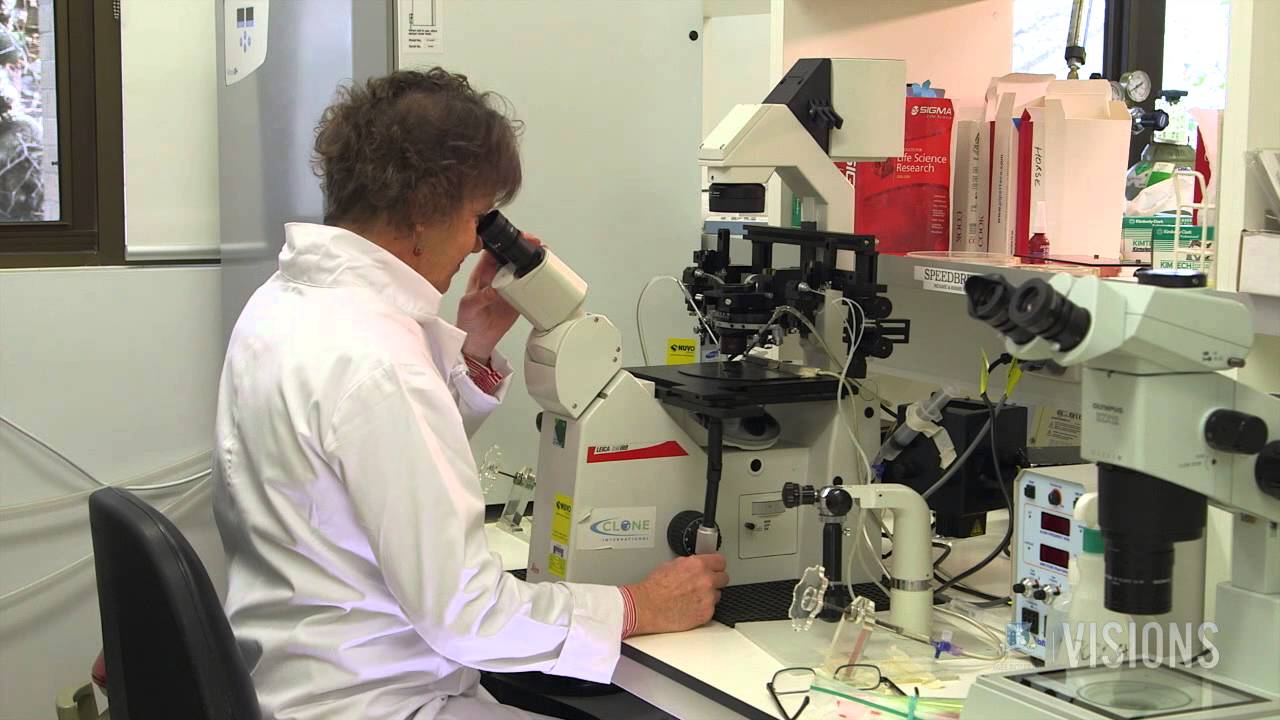 The Muscle Behind Meat Science (Updated)