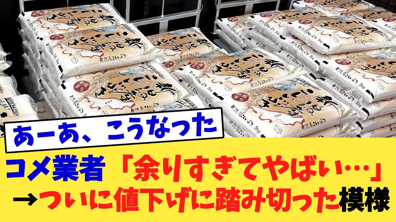 コメ業者「余りすぎてやばい&hellip;」&rarr;ついに値下げに踏み切った模様