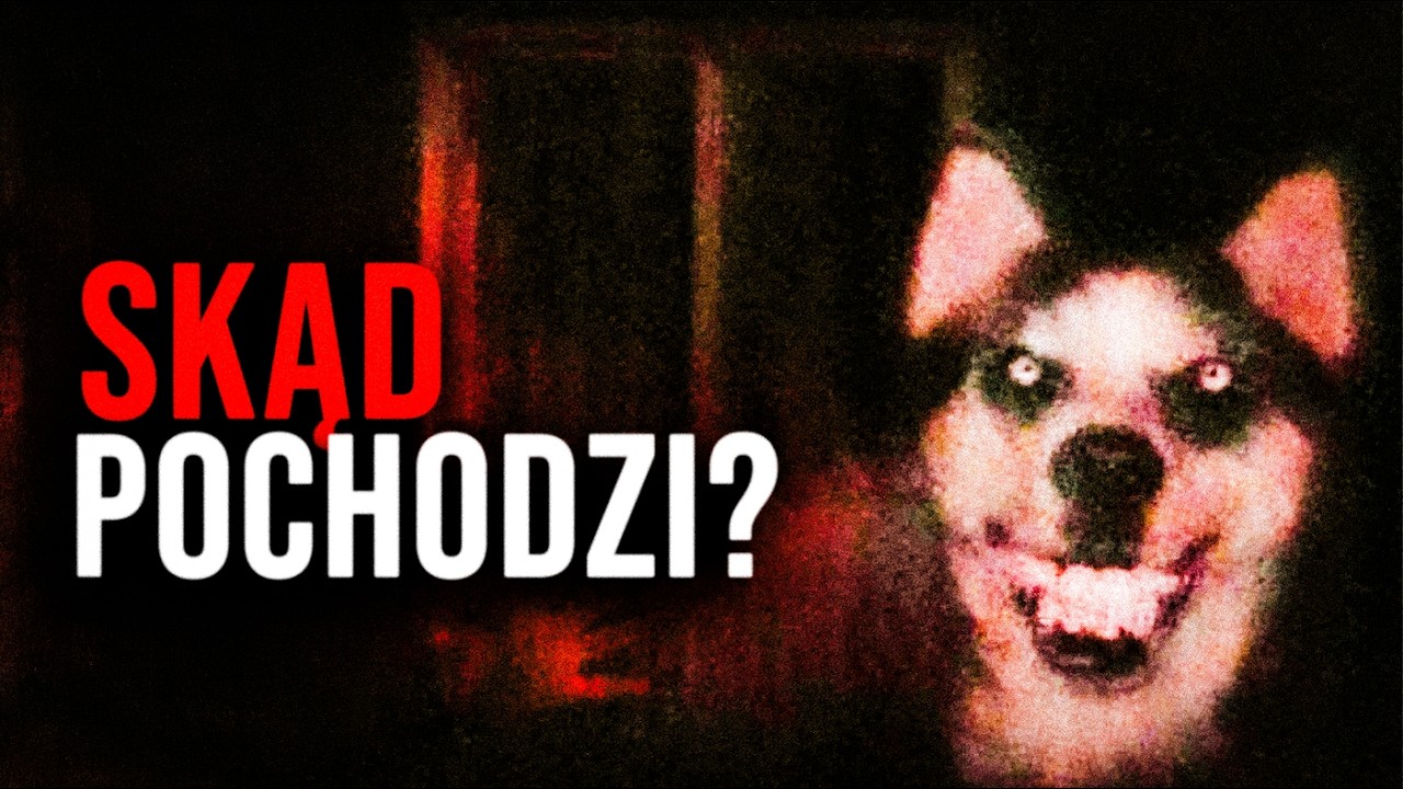 SKĄD TAK NAPRAWDĘ POCHODZI TO ZDJĘCIE?