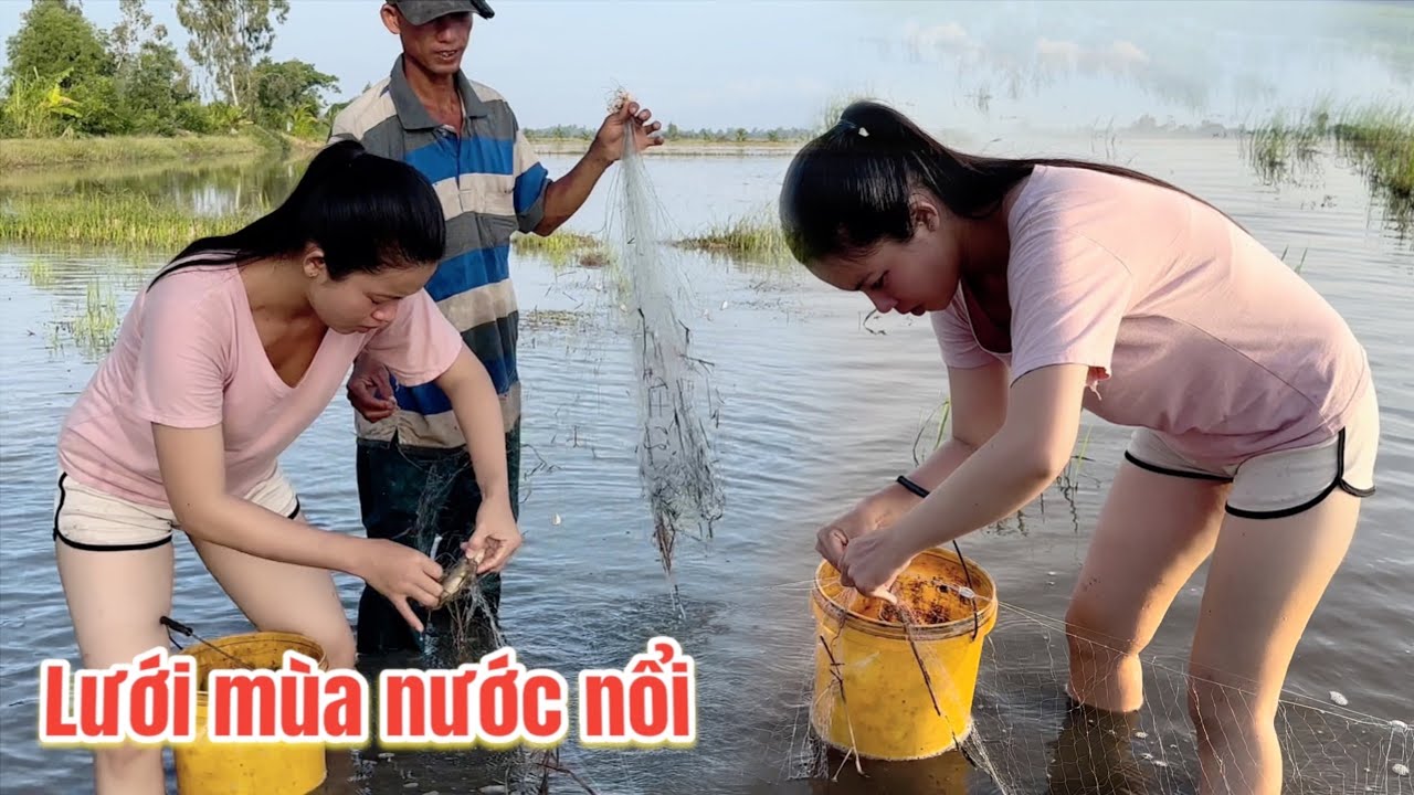 Sáng Sớm Ra Đồng Cuốn Lưới Mùa Nước Nổi Dính Cả Thùng Cá Ngon