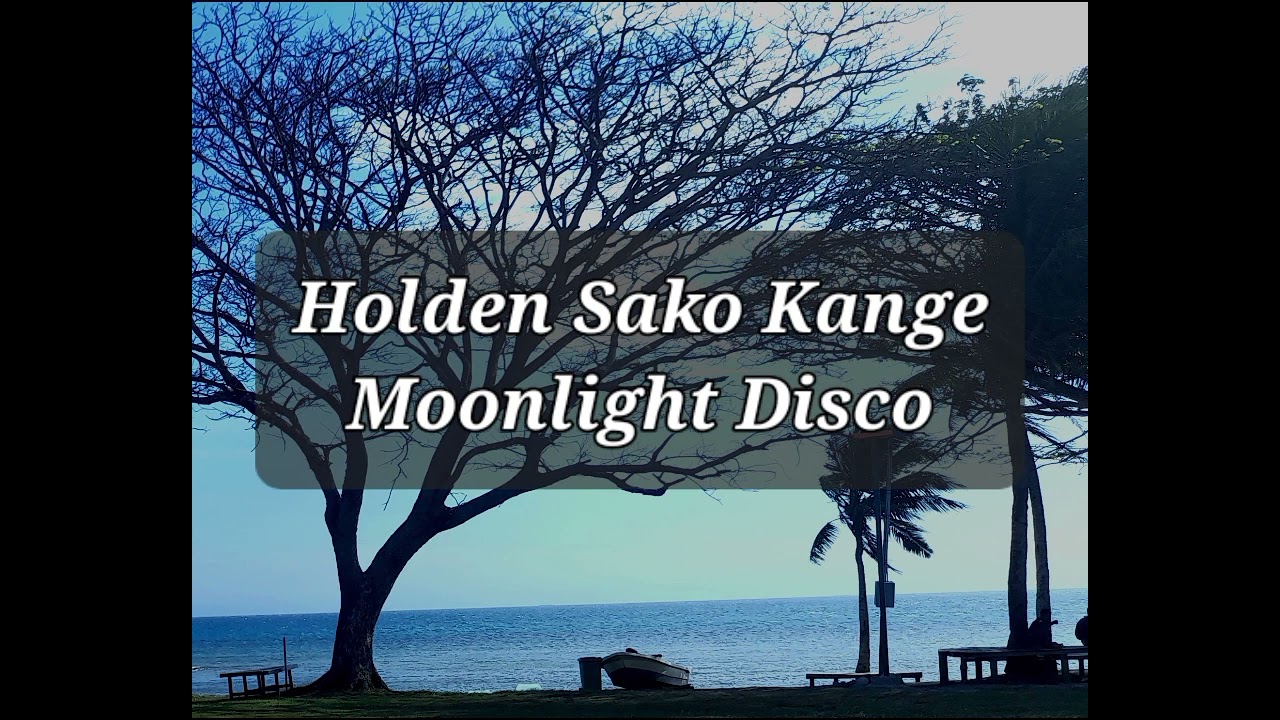 Holden Sako Kange - Moonlight Disco