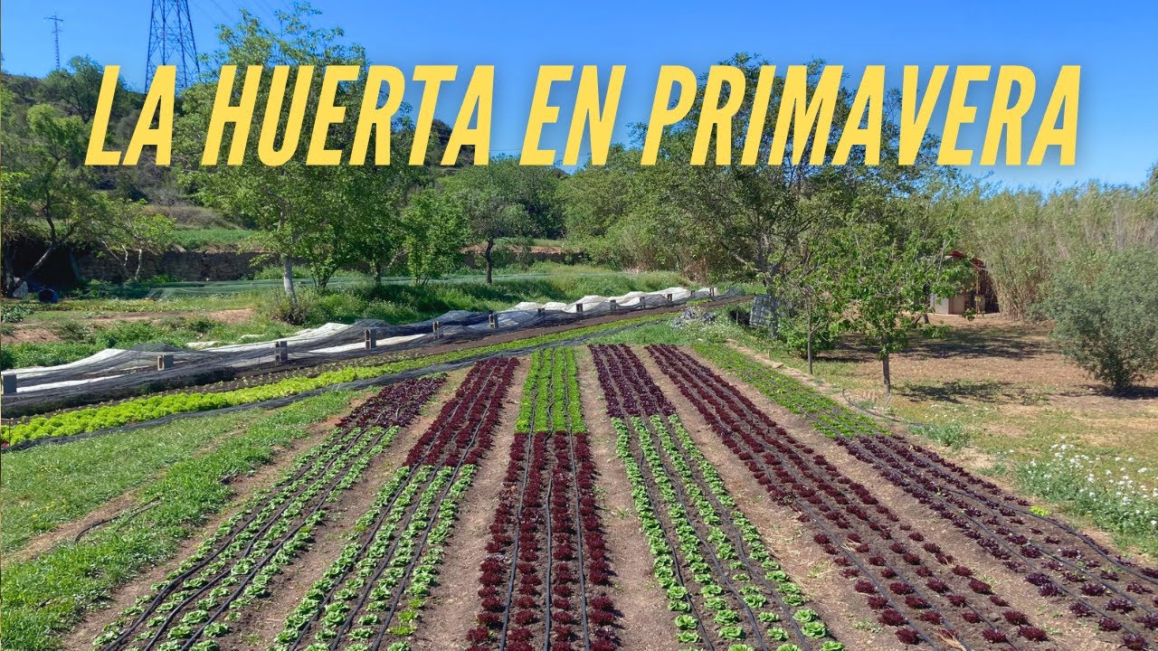 Un paseo por la huerta
