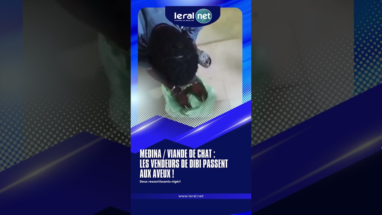 🚨 M&eacute;dina / Viande de chat : les vendeurs de Dibi passent aux aveux !