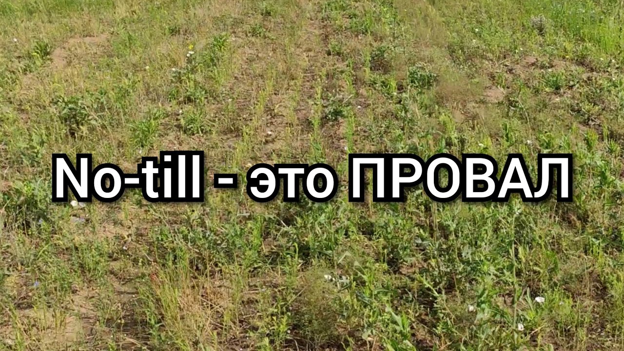Ноутилл это провал!!!??