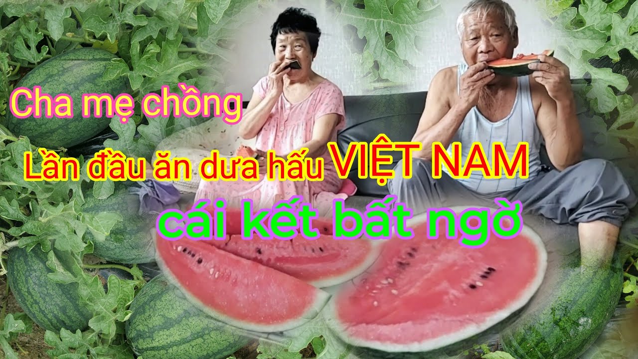[30]🇰🇷BIỂU CẢM BẤT NGỜ CỦA CHA MẸ CHỒNG KHI LẦN ĐẦU ĂN DƯA HẤU Việt NAM.