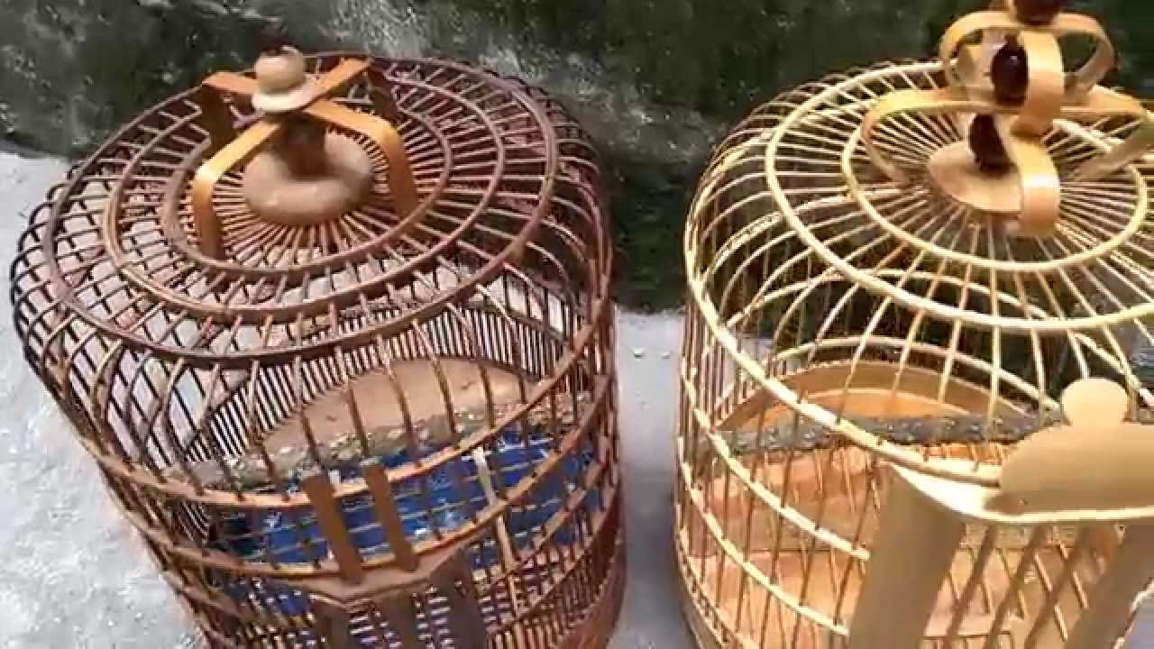 Lồng chim họa mi thổ, lồng giả c&ocirc;n minh - chim cảnh đất việt - H&agrave; nội