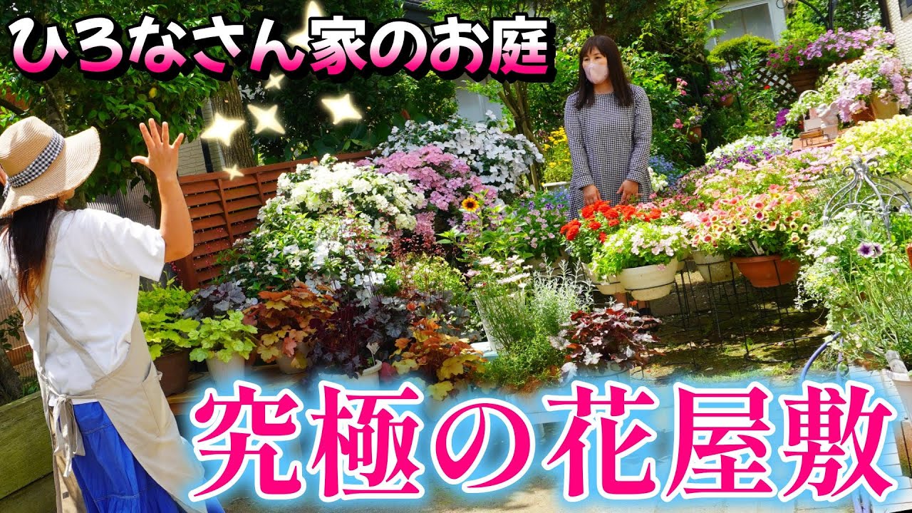 【圧巻コンテナガーデン】【秋田県秋田市】園芸YouTuberさんのお庭を拝見してきました♪華やかな花々に感動